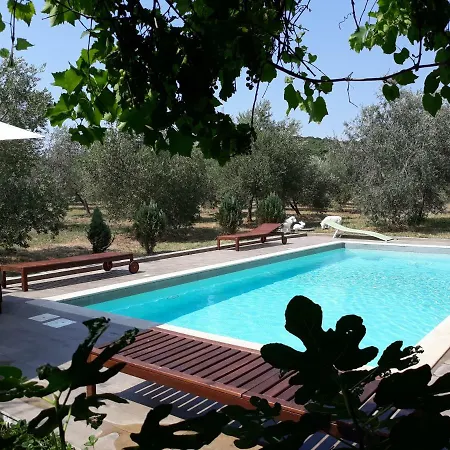 Apartment Garden Monsena *