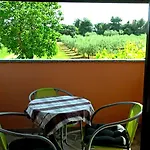 Appartement Garden Monsena *