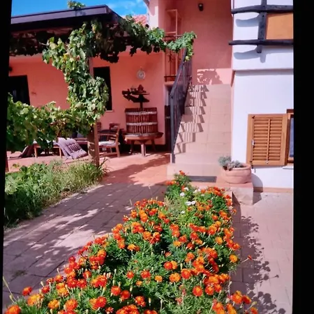 Daire Garden Monsena Rovinj